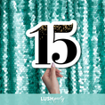 Load image into Gallery viewer, 15th birthday prop sign by Lush Party Studio