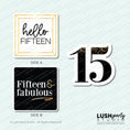 Load image into Gallery viewer, Photo booth props for 15th birthday quinceanera party
