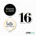 Load image into Gallery viewer, sweet sixteen birthday photo booth prop sign