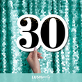 Load image into Gallery viewer, 30th birthday prop sign by Lush Party Studio