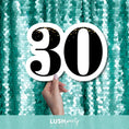 Load image into Gallery viewer, 30th birthday prop sign by Lush Party Studio