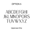 Load image into Gallery viewer, font OPTION 5