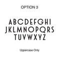 Load image into Gallery viewer, font OPTION 3