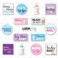 Load image into Gallery viewer, baby gender reveal shower photo booth props