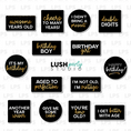 Load image into Gallery viewer, Birthday Party Photo Booth Word Prop Signs