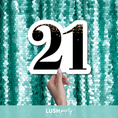 Load image into Gallery viewer, MILESTONE BIRTHDAY - 21ST