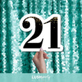 Load image into Gallery viewer, MILESTONE BIRTHDAY - 21ST