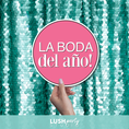 Load image into Gallery viewer, Hand holding a pink sign with 'LA BODA del ano!' text against a teal sequin background, Lush Party Studio branding visible.