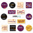 Load image into Gallery viewer, Thanksgiving Fall Friendsgiving Photo Booth Word Prop Signs