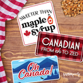 Load image into Gallery viewer, canadian themed photo booth props for canada day events