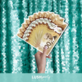 Load image into Gallery viewer, canadian money fan photo booth prop by lush party studio