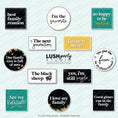 Load image into Gallery viewer, Collection of humorous and family-themed photo booth props by lush party studio