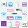 Load image into Gallery viewer, gender reveal baby-themed photo booth props by lush party studio