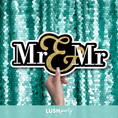 Load image into Gallery viewer, wedding photo prop 'Mr & Mr' sign by Lush Party Studio