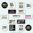 Load image into Gallery viewer, Collection of party-themed photo booth props with funny sayings by lush party studio