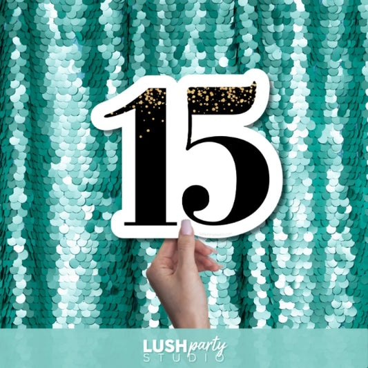 15th birthday prop sign by Lush Party Studio