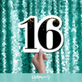 Load image into Gallery viewer, Photo Booth prop sign '16' for birthdays
