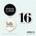 Load image into Gallery viewer, Photo booth props with text 'Sixteen & Sweet' and 'Hello Sixteen', with a number '16' for birthdays
