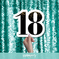Load image into Gallery viewer, 18th birthday prop sign by Lush Party Studio
