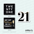 Load image into Gallery viewer, Photobooth prop signs celebrating a 21st birthday with 'Lush Party Studio' branding.

