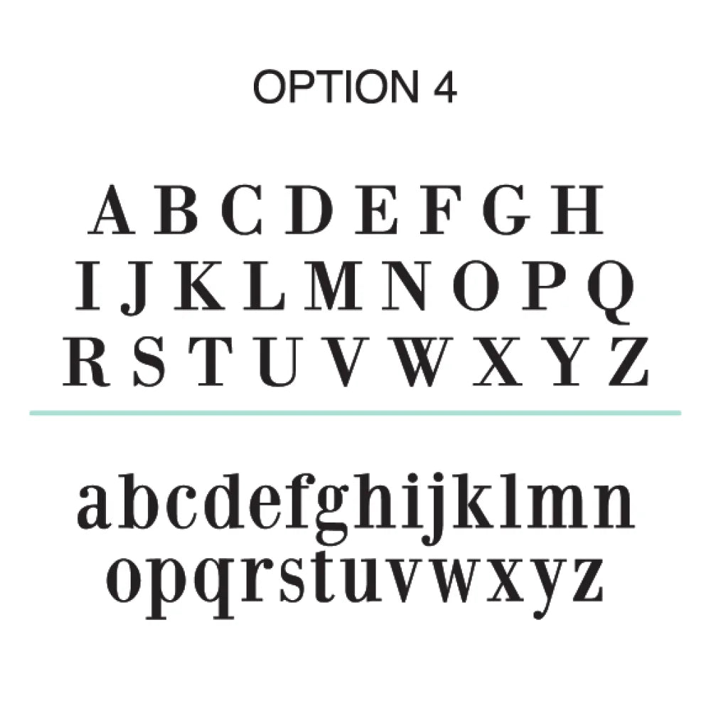 font OPTION 4