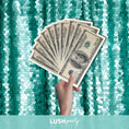 Load image into Gallery viewer, DOLLAR BILLS
