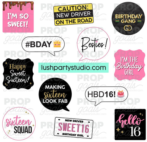 Sweet Sixteen 16 Birthday Photo Booth Word Prop Signs