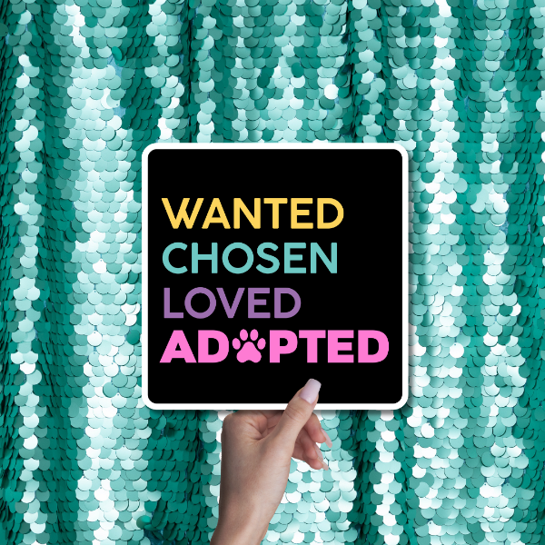 animal rescue adoption dog cat photo booth props