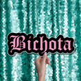 Load image into Gallery viewer, bichota  photo booth prop sign
