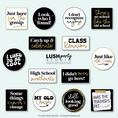 Load image into Gallery viewer, Collection of humorous photo booth props for school class reunion events with various sayings by lush party studio
