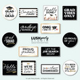 Load image into Gallery viewer, luxe glam graduation photo booth props Graduation Party Photo Booth Word Prop Signs
