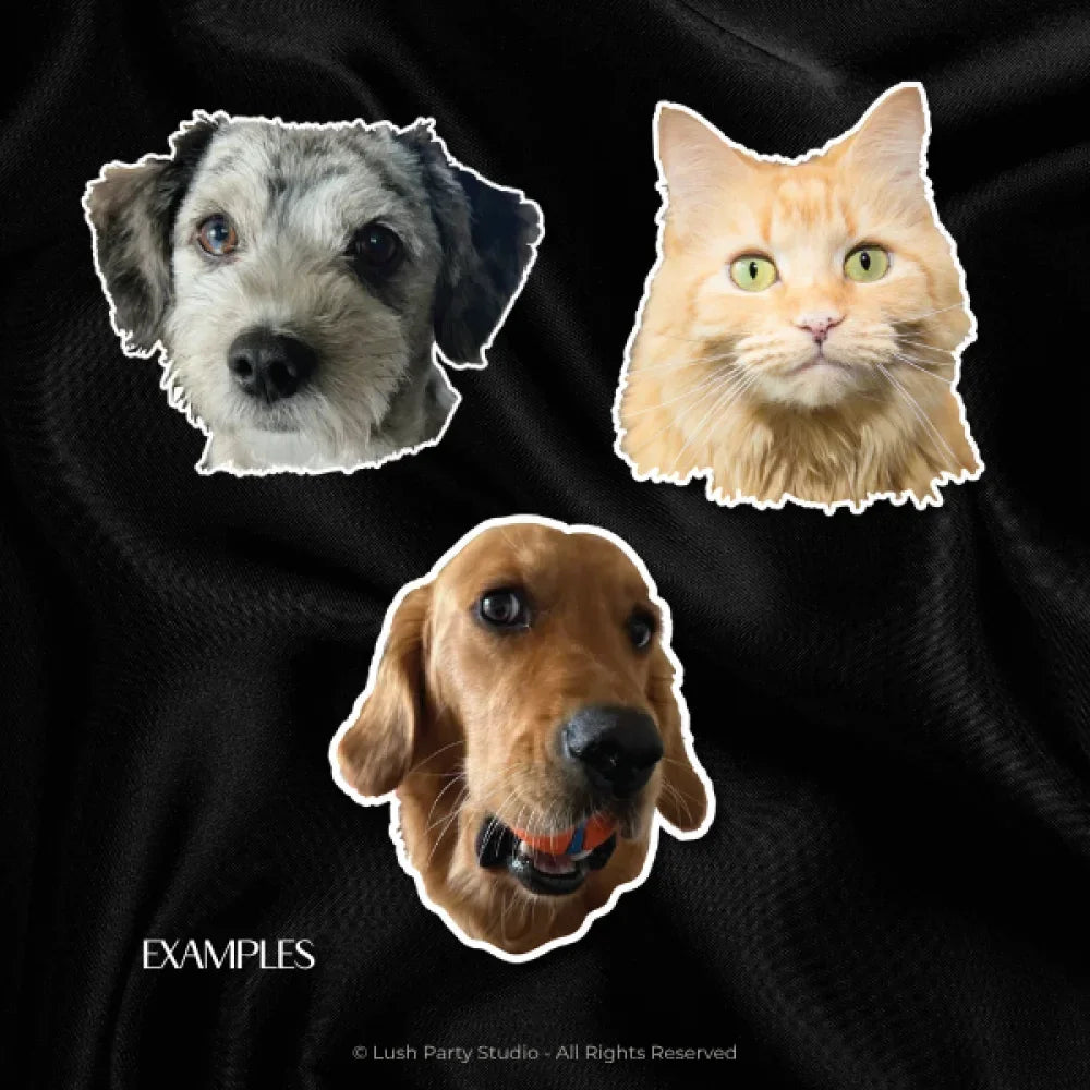 CUSTOM PET HEAD