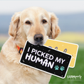Load image into Gallery viewer, Dog holding a prop sign saying 'I PICKED MY HUMAN' by lush party studio 
