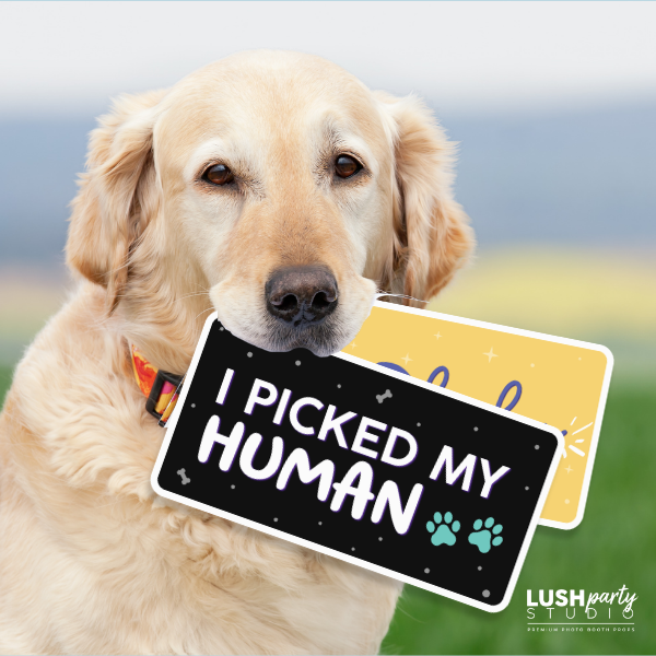 Dog holding a prop sign saying 'I PICKED MY HUMAN' by lush party studio 