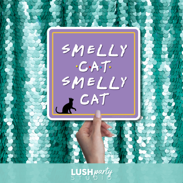 friends photo booth props with 'Smelly Cat, Smelly Cat' text by lush party studio