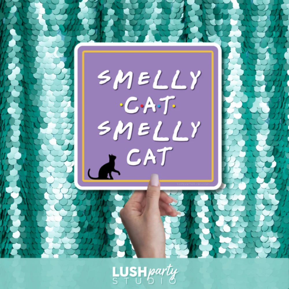 friends photo booth props with 'Smelly Cat, Smelly Cat' text by lush party studio