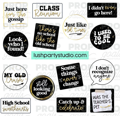 Class Reunion Photo Booth Word Prop Signs