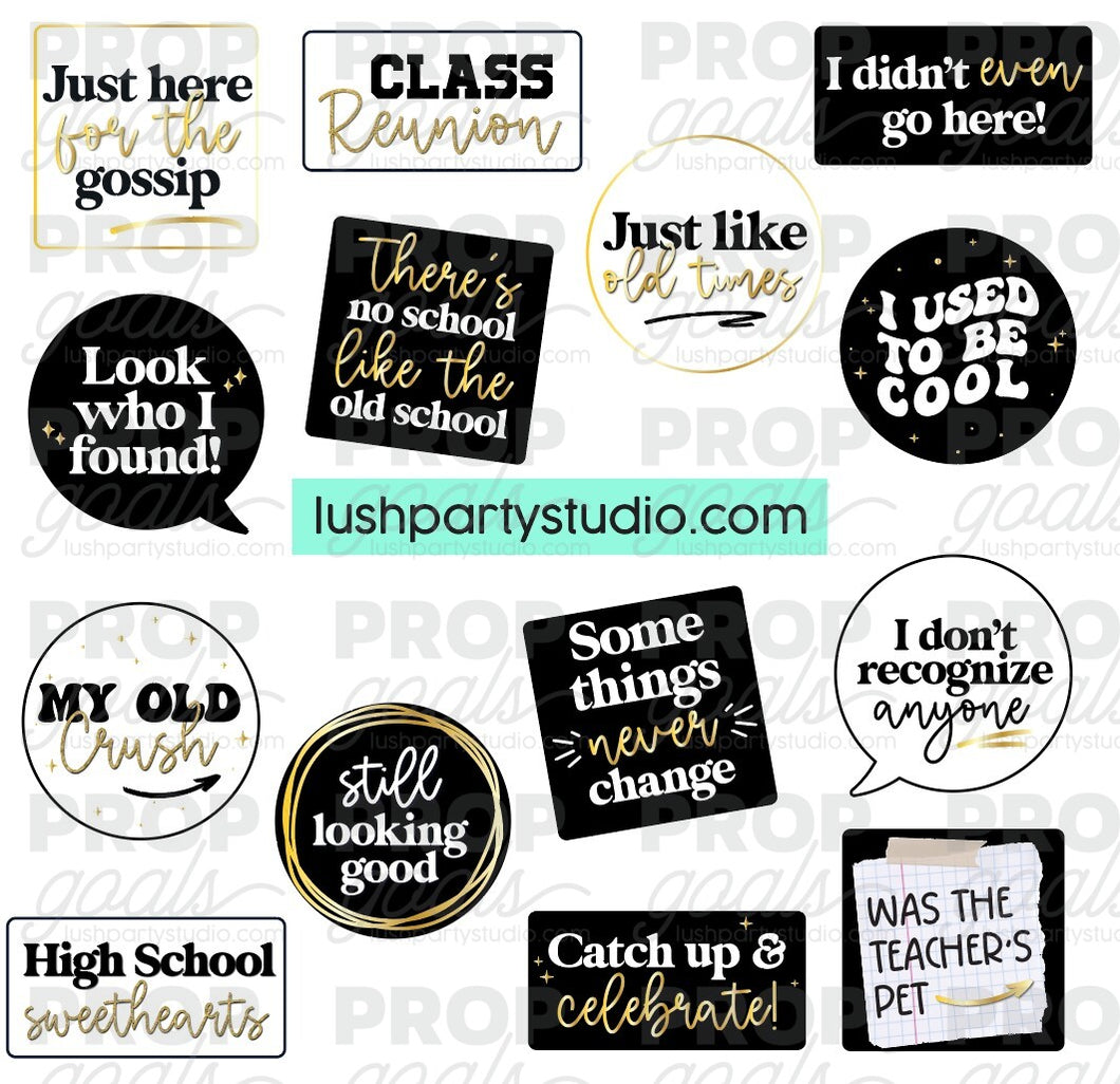 THE CLASS REUNION SET
