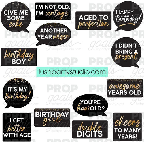 Birthday photo booth props- Lushparty